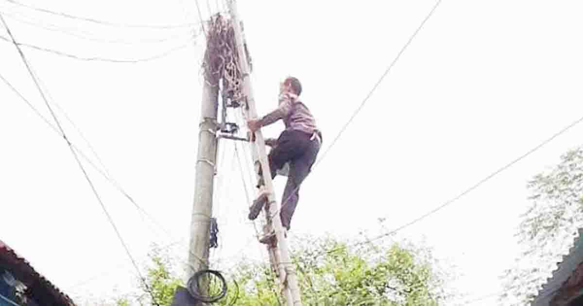 সৈয়দপুরে ব্যাপক তার চুরি, অন্ধকারে সড়ক ও পাড়া-মহল্লা