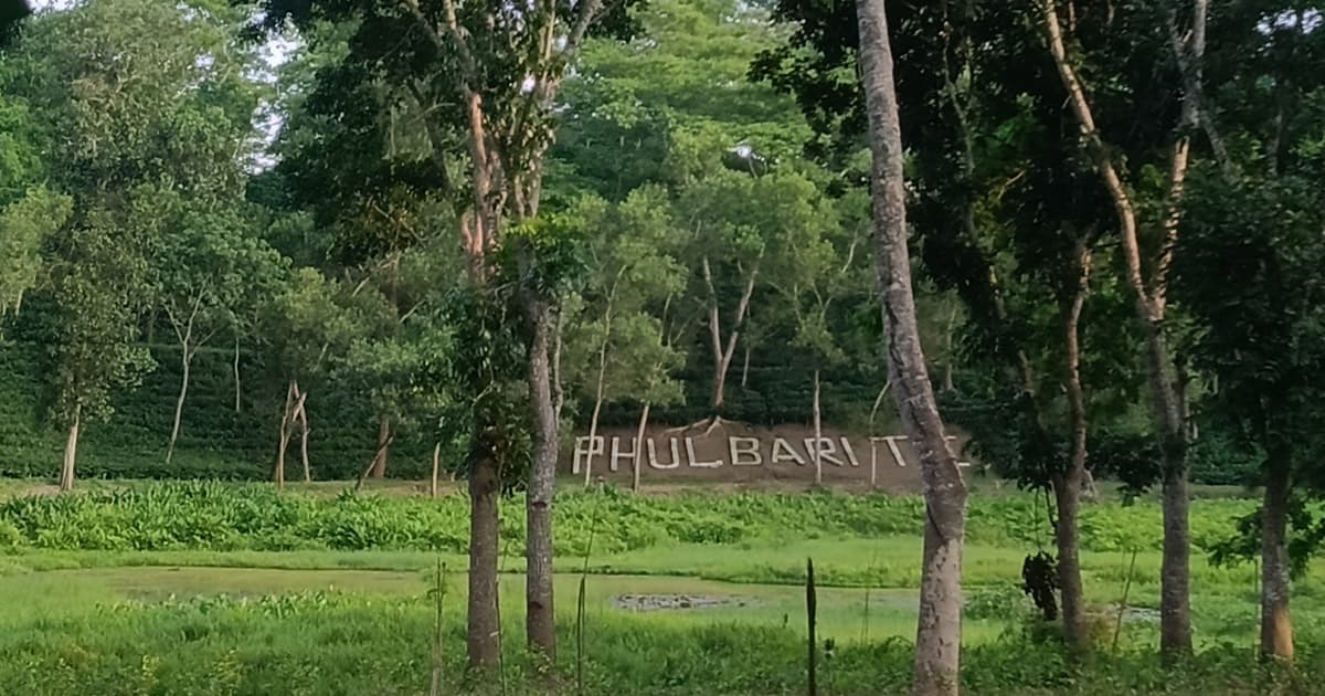 মাগুরছড়া ট্রাজেডির ২৯ বছর