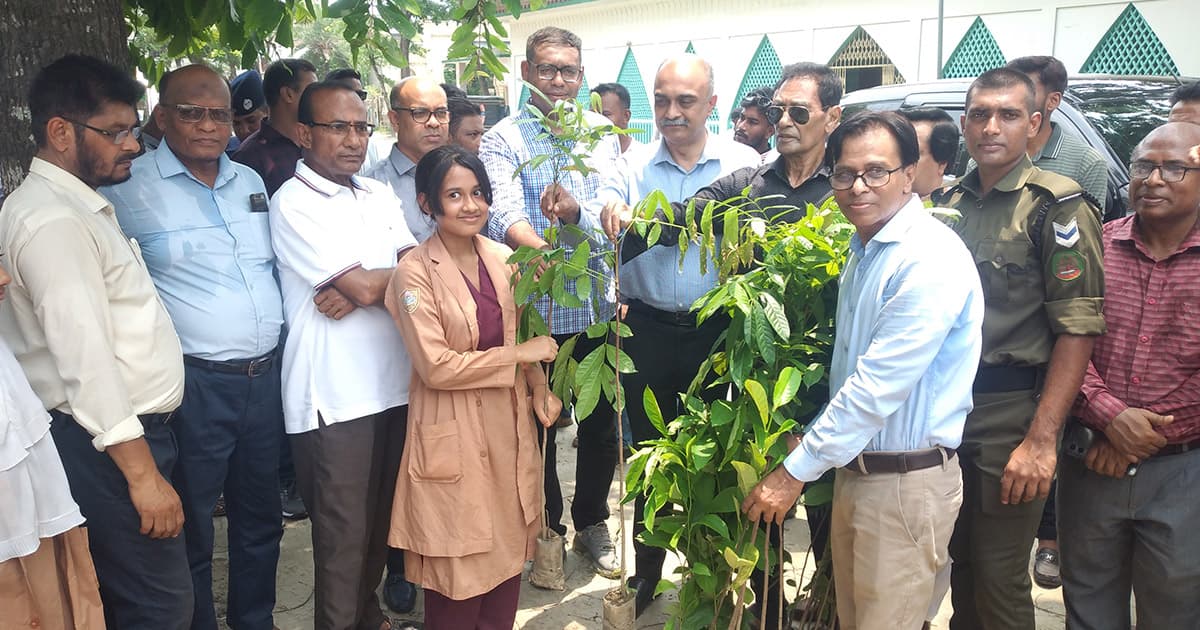 কুষ্টিয়ায় বৃক্ষরোপণ কর্মসূচির উদ্বোধন