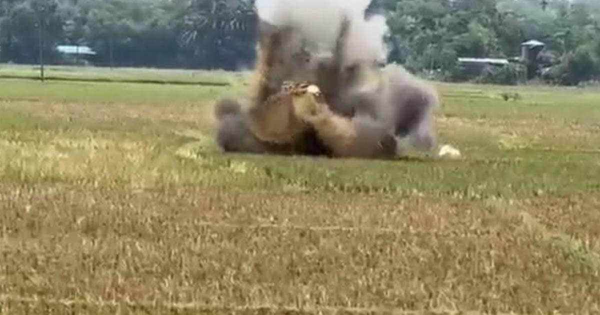 ঈদগাঁওয়ে উদ্ধার হওয়া ৩ কামানের গোলা ধ্বংস