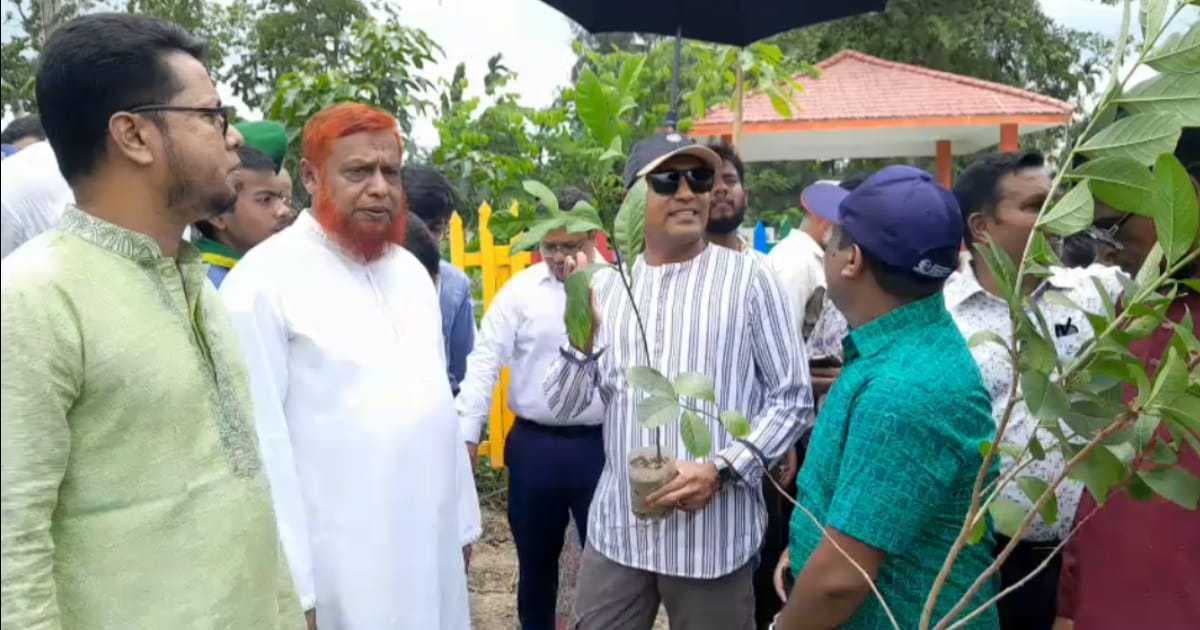 পটুয়াখালীতে বৃক্ষরোপণ কর্মসূচির উদ্বোধন