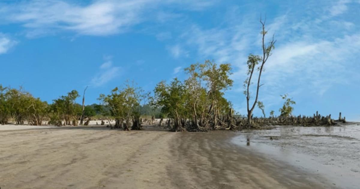 নৈসর্গিক সৌন্দর্যের লীলাভূমি তারুয়া দ্বীপ
