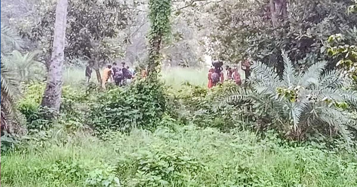 শূন্যরেখা থেকে ২৮ জনকে ফিরিয়ে নিল বিএসএফ