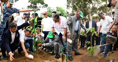 দূষণমুক্ত পরিবেশ গড়তে সবাইকে গাছ লাগানোর আহ্বান প্রধানমন্ত্রীর
