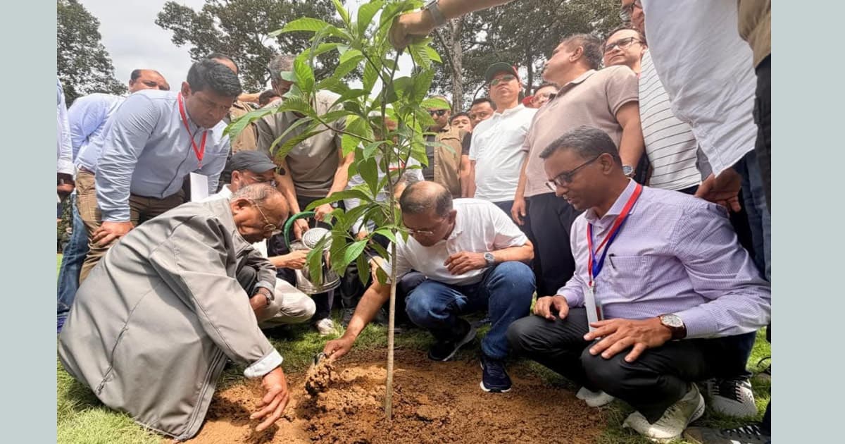 ২৫ কোটি বৃক্ষরোপণ কর্মসূচির উদ্বোধন করলেন প্রধানমন্ত্রী