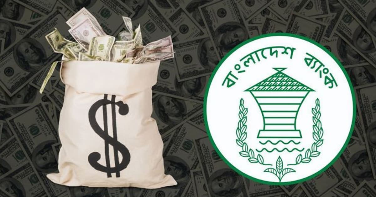 এক বছরে দেশে এলো ৩৩.৪৪ বিলিয়ন ডলার
