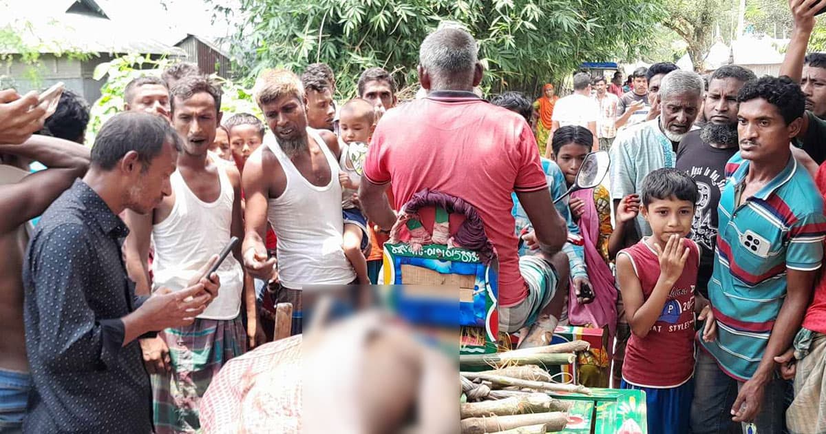 বন্য হাতির আক্রমণে ১ জন নিহত