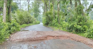 কাপাসিয়া-চেরাগআলী সড়কে দুর্ভোগ