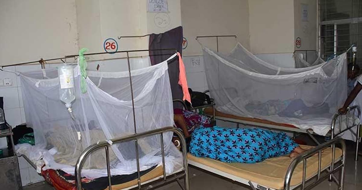 মশার দাপটে হাঁসফাঁস বরিশাল নগরী