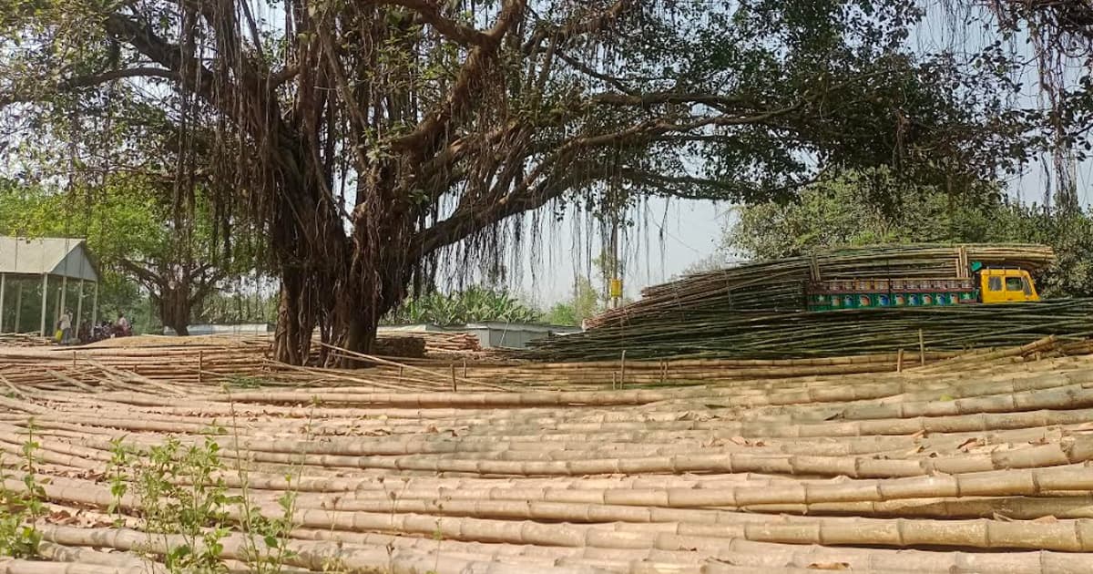 সখীপুরের ঐতিহ্যবাহী বাঁশের হাট "দেওদিঘী"