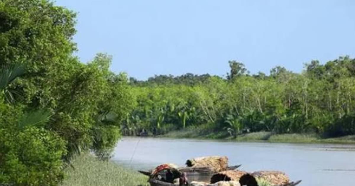 সুন্দরবনে কমেনি দস্যুদের দৌরাত্ম ,আবারো ৩ জেলে অপহৃত