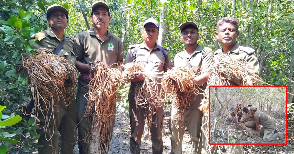 বনরক্ষীদের চেষ্টায় উদ্ধার মায়াবী হরিণ