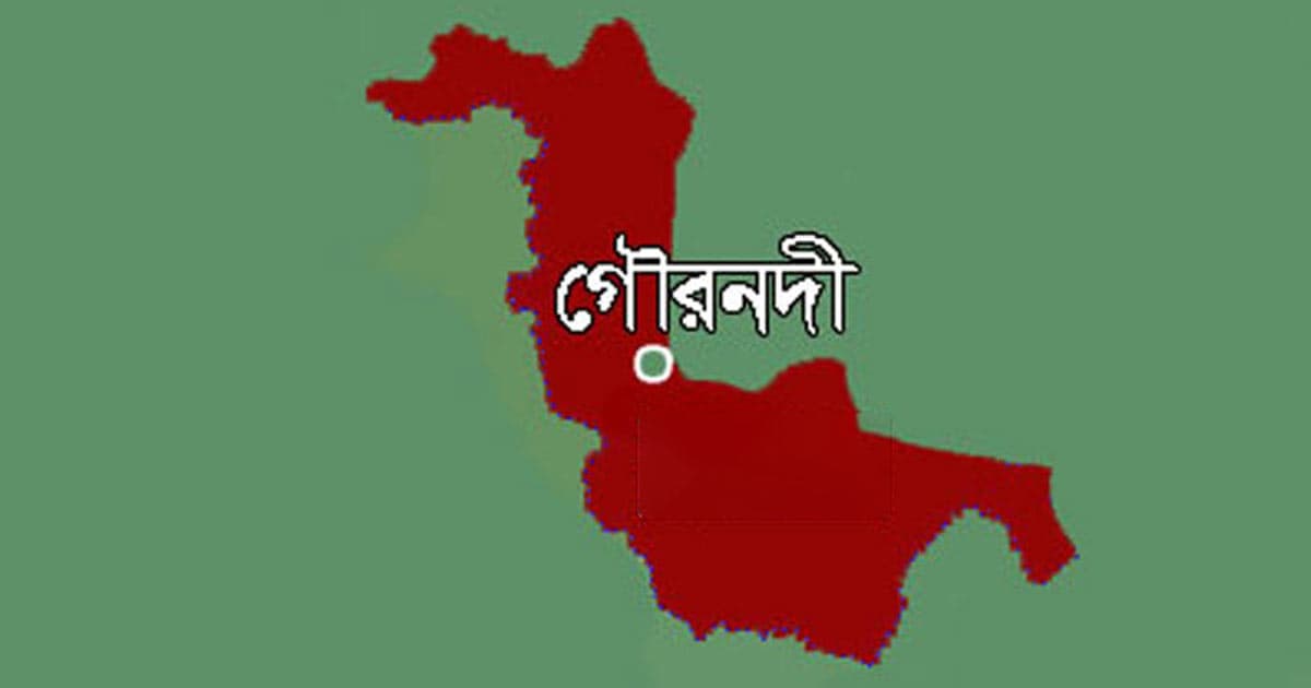 নানার বাড়ি বেড়াতে এসে প্রাণ গেল ২ ভাইয়ের