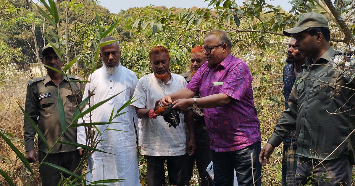 খাগড়াছড়িতে বন্য মোরগ অবমুক্ত