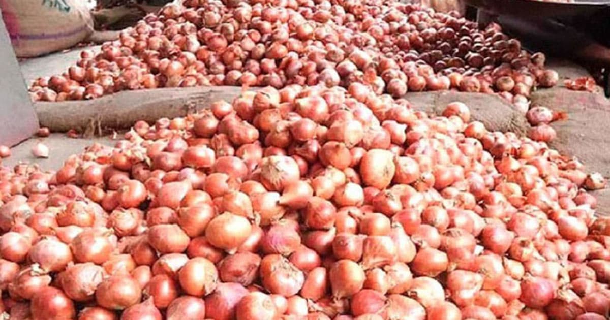 পেঁয়াজের বাম্পার ফলন, দাম নেই