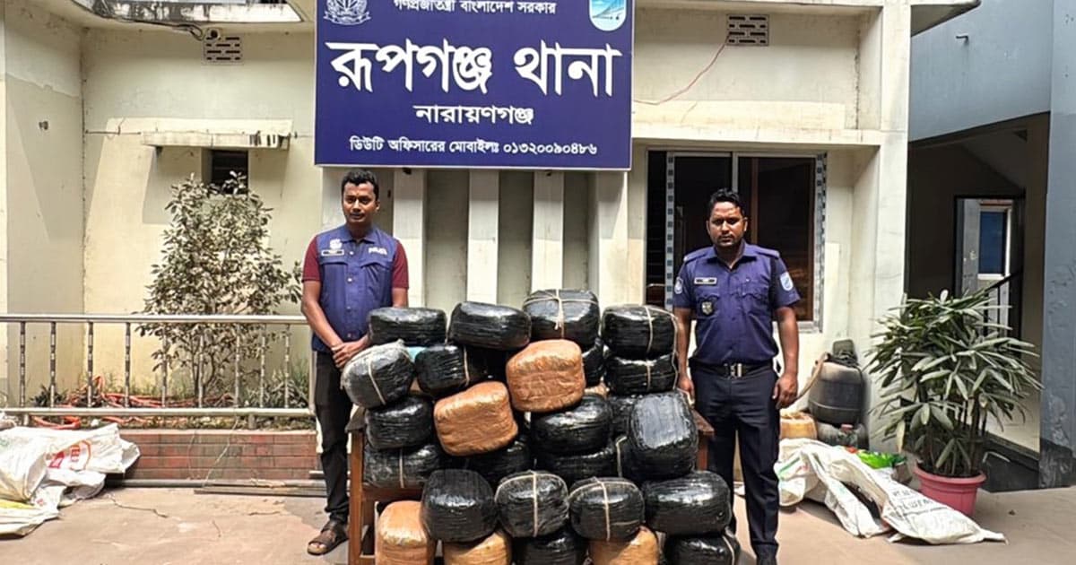 এমপি দিপু ভূঁইয়ার জিরো টলারেন্স: রূপগঞ্জে ১৬১ কেজি গাঁজা উদ্ধার