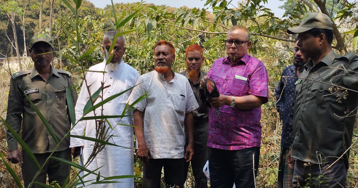 বনমোরগ উদ্ধার ও অবমুক্তি নিয়ে রহস্য, তদন্তে তিন সদস্যের কমিটি