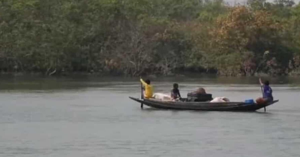 সুন্দরবনে ফুলের সমারোহ, মধু আহরণের মৌসুম শুরু