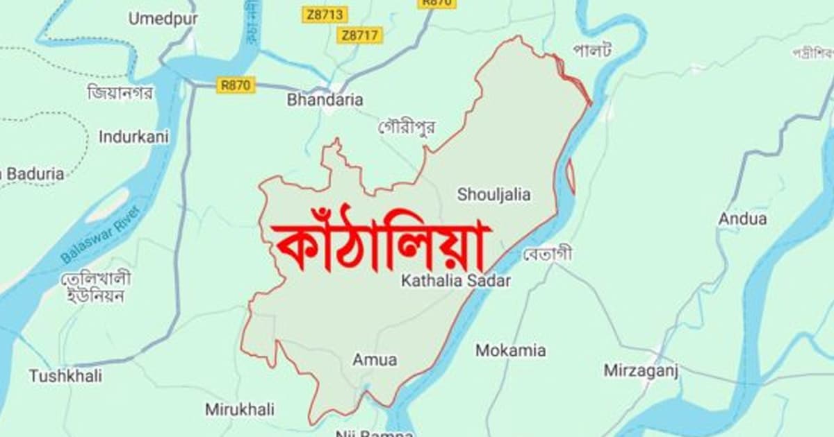 কাঁঠালিয়ায় ইঁদুর মারা বৈদ্যুতিক ফাঁদে বৃদ্ধের মৃত্যু