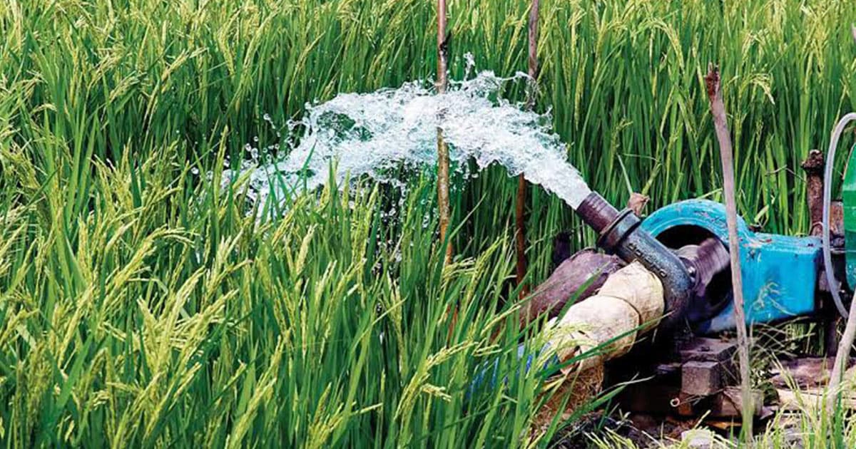 বোরো মৌসুমে তীব্র ডিজেল সংকট, দুশ্চিন্তায় কৃষকরা