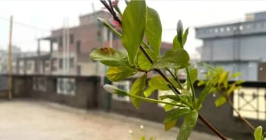 রাজধানীসহ আট অঞ্চলে ঝড়ো হাওয়াসহ বৃষ্টির পূর্বাভাস