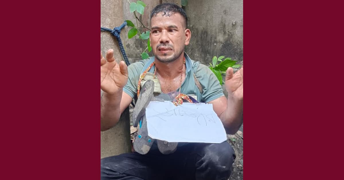কালীগঞ্জে প্যান্ট খুলে অশ্লীল অঙ্গভঙ্গি, ইভটিজার আটক