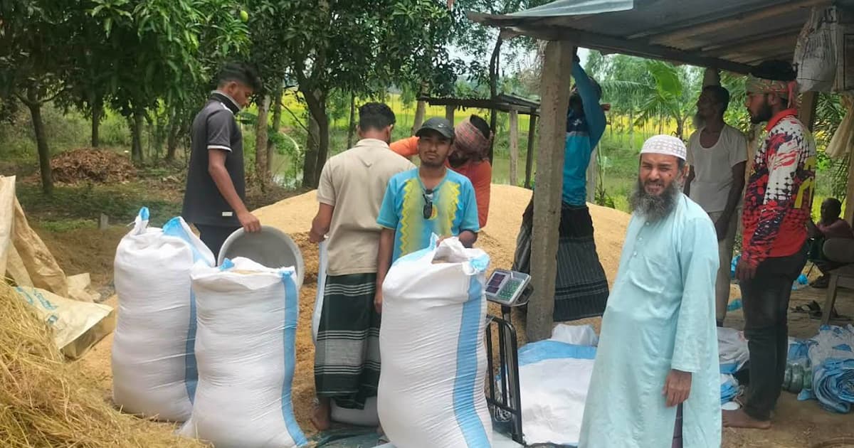 তাড়াশে ধান কেনা-বেচায় ‘ঢলন’ প্রথা, কৃষকের মাথায় হাত