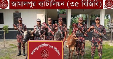 জামালপুর ৩৫ বিজিবির অভিযানে ভারতীয় কসমেটিকস পণ্য ও গরু উদ্ধার!