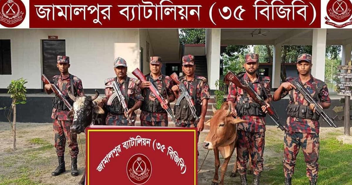 জামালপুর ৩৫ বিজিবির অভিযানে ভারতীয় কসমেটিকস পণ্য ও গরু উদ্ধার!