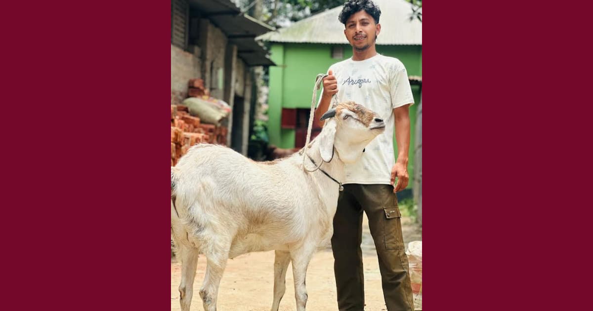 সৈয়দপুরে ৬৫ কেজি ওজনের সুলতানের ‘সুলতান’