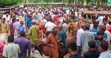 ঈদের শেষ মুহূর্তে গোলাপগঞ্জ পশুর হাটে ক্রেতাদের ঢল