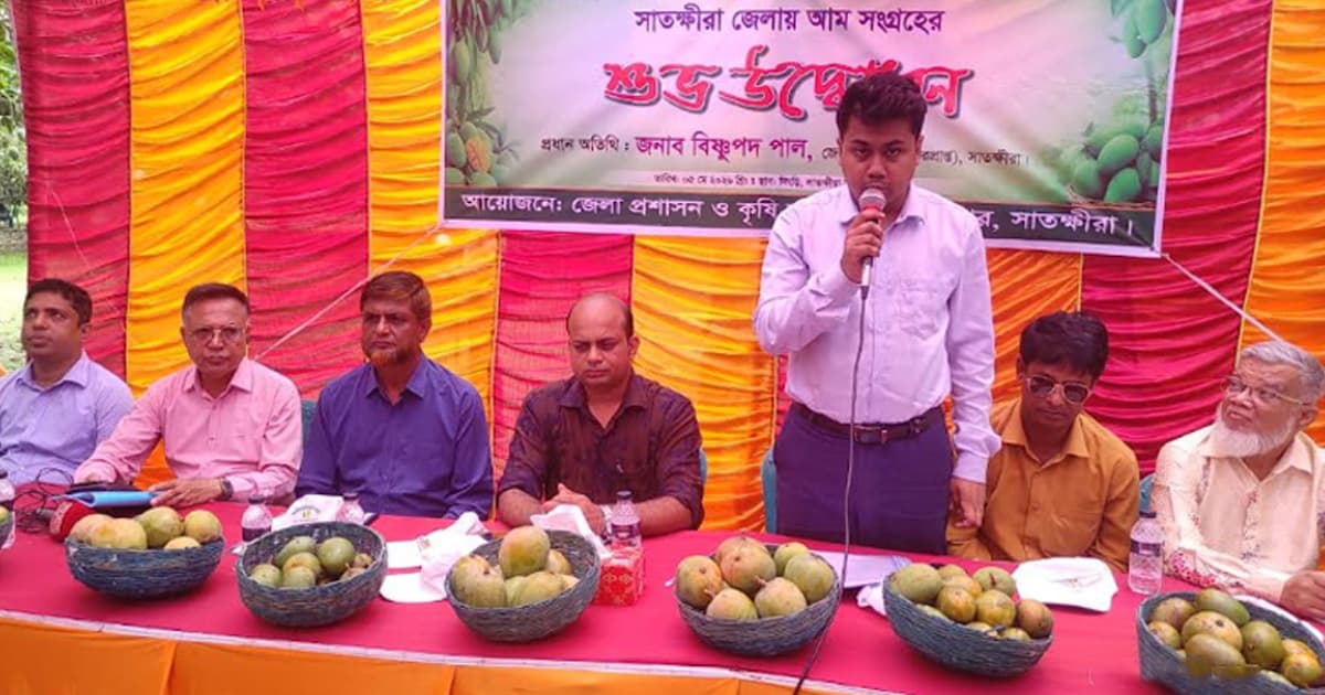 সাতক্ষীরায় আনুষ্ঠানিকভাবে আম সংগ্রহ উৎসবের উদ্বোধন