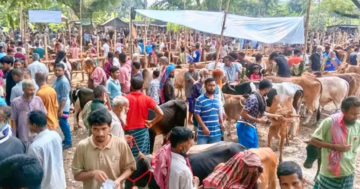 সদরপুরে পশুর হাটে অতিরিক্ত হাসিল আদায়, ইজারাদারকে জরিমানা