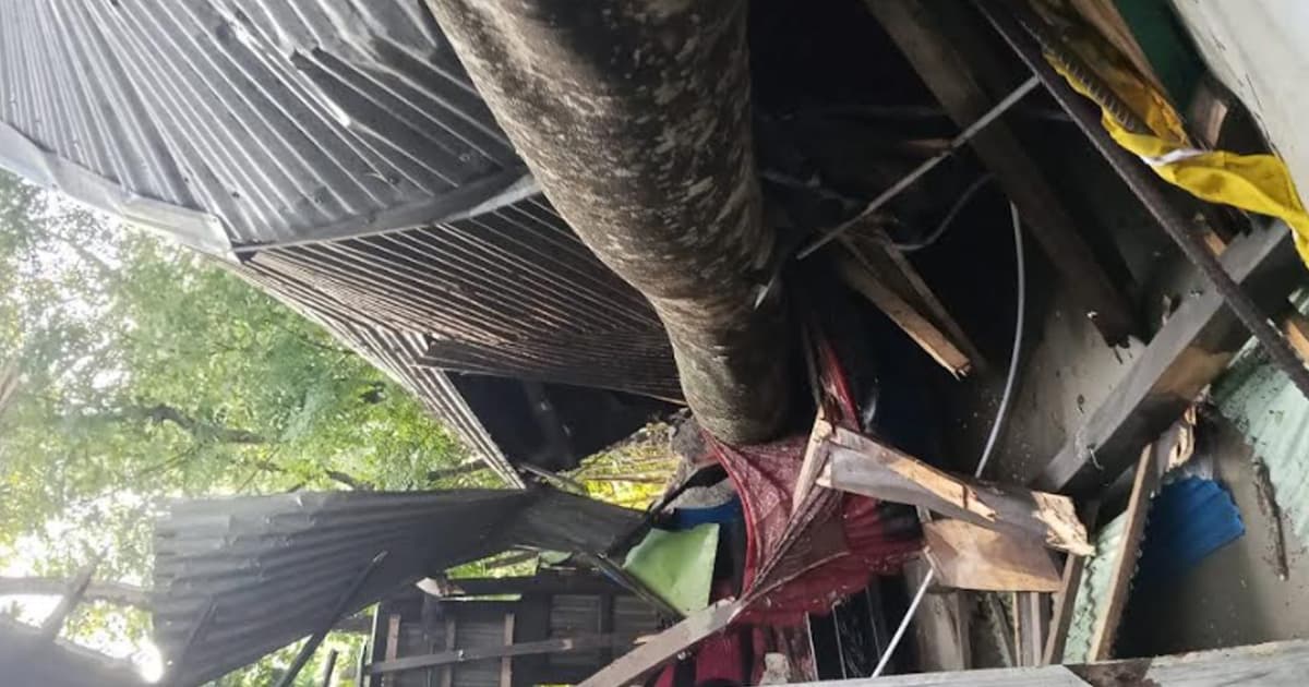 বানারীপাড়ায় ঘরের ওপর গাছ ভেঙে পড়ে গৃহবধূ নিহত