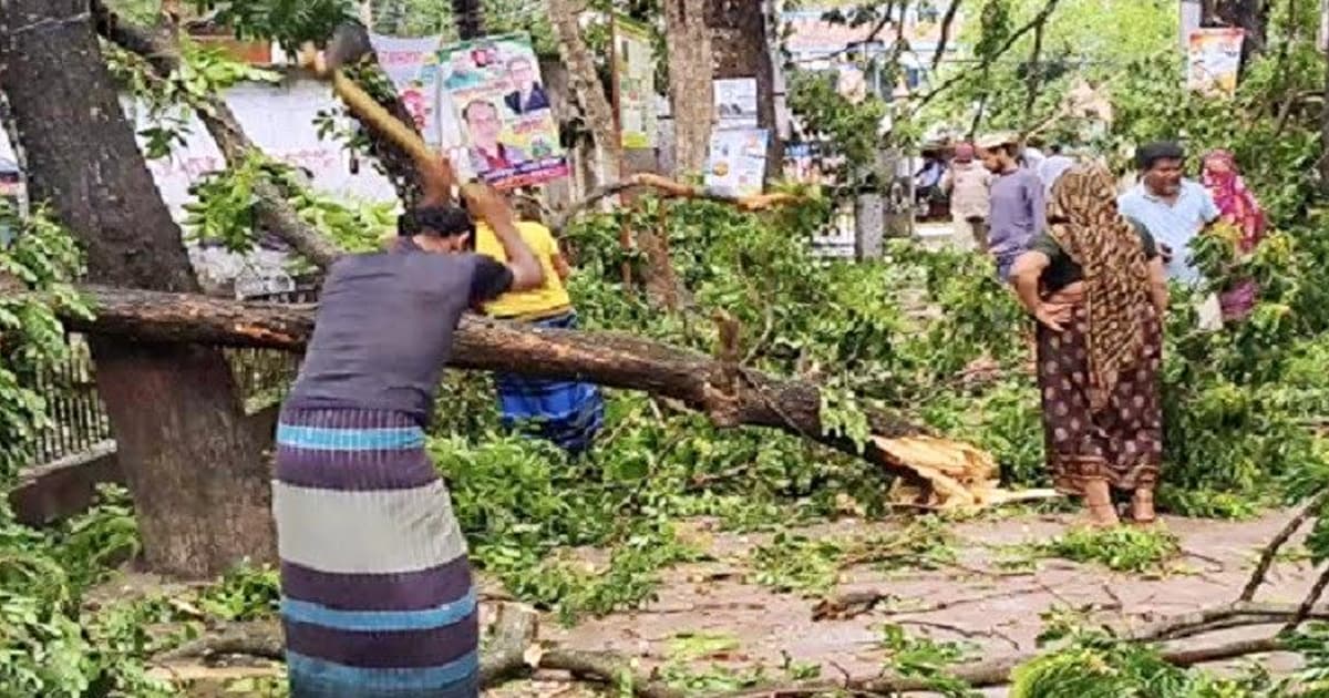 সদরপুরে ১৫ মিনিটের কালবৈশাখীর তাণ্ডব, লণ্ডভণ্ড জনপদ