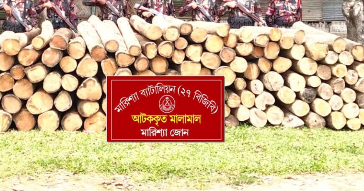 বাঘাইছড়িতে বিজিবির অভিযানে ১০ লাখ টাকার অবৈধ সেগুন কাঠ উদ্ধার