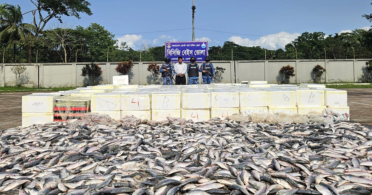 ভোলায় কোস্ট গার্ডের অভিযানে ইলিশ মাছ জব্দ