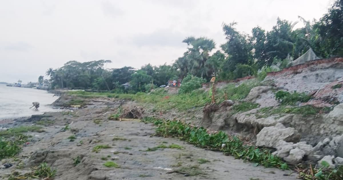 তেঁতুলিয়া-বুড়াগৌরাঙ্গের ভাঙনে বিলীন উপজেলাবাসীর স্বপ্ন