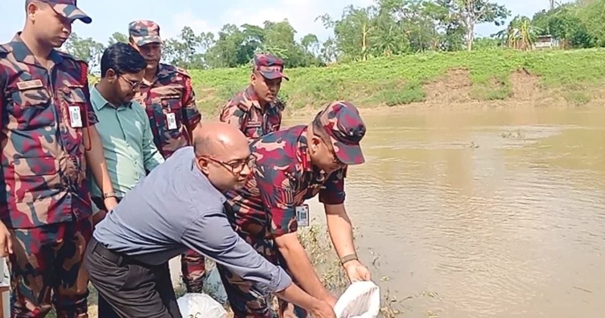 হবিগঞ্জে গলদা চিংড়ির রেণু জব্দ ও অবমুক্ত
