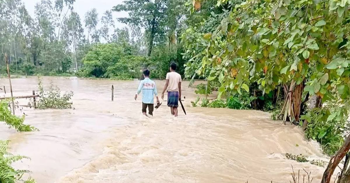 হালুয়াঘাটে পাহাড়ি ঢলে নিম্নাঞ্চল প্লাবিত