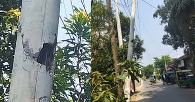 কালীগঞ্জে ঝুঁকিপূর্ণ বিদ্যুতের খুঁটি, আতঙ্কে পথচারীরা