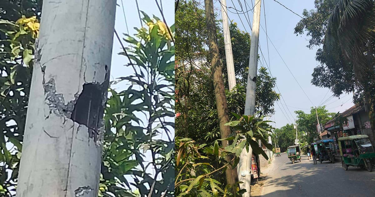 কালীগঞ্জে ঝুঁকিপূর্ণ বিদ্যুতের খুঁটি, আতঙ্কে পথচারীরা
