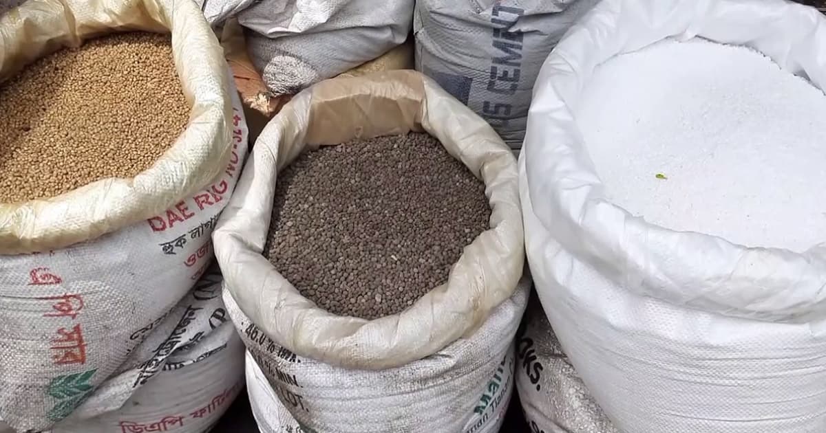 দৌলতপুর হঠাৎ সারের দাম বৃদ্ধি, বিপাকে কৃষক
