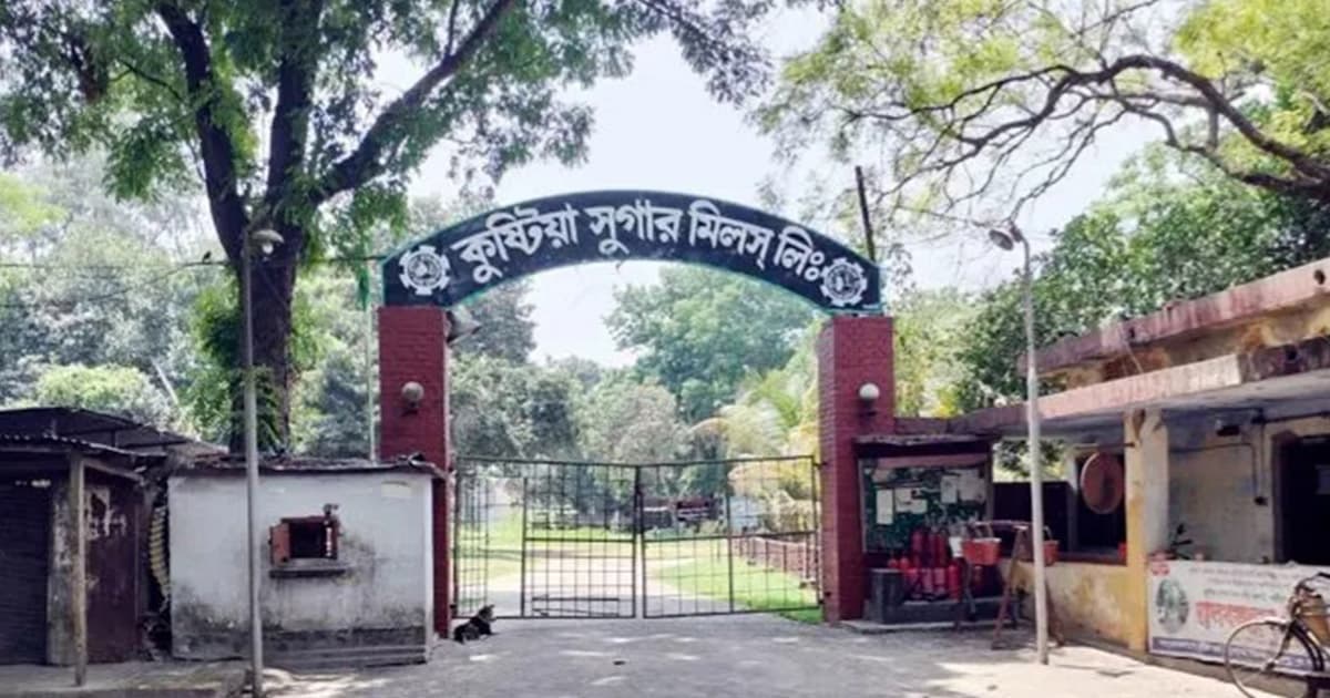 কুষ্টিয়া বন্ধ চিনিকলে নষ্ট হচ্ছে শত কোটির যন্ত্রপাতি