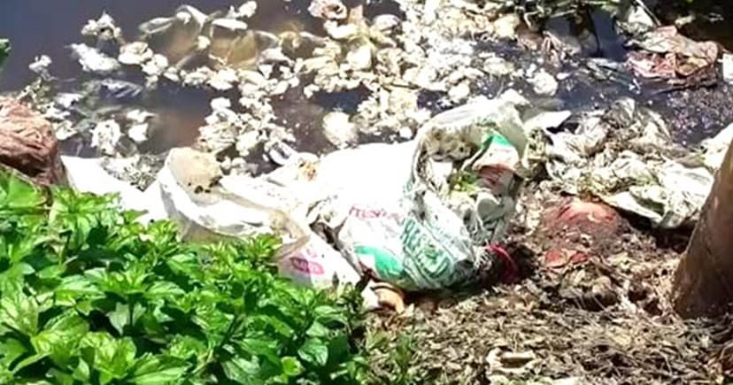 রাজৈরে চামড়ার বর্জ্যে শেষ মৎস্য চাষির স্বপ্ন