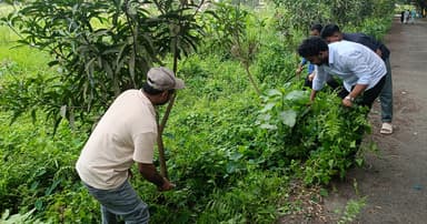 নোবিপ্রবিতে পরিষ্কার পরিচ্ছন্নতা অভিযান ছাত্রদলের