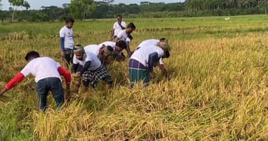 পিরোজপুরে কৃষকদের পাশে ছাত্রদল