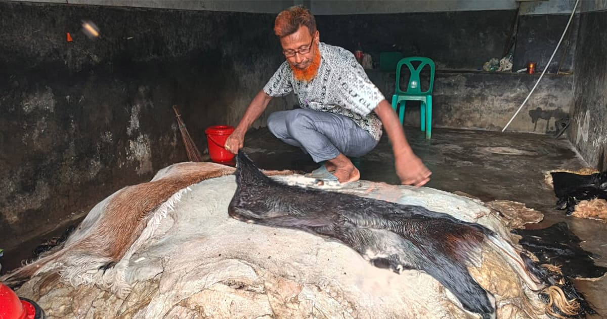 চামড়ায় লোকসানের শঙ্কা ব্যবসায়ীদের