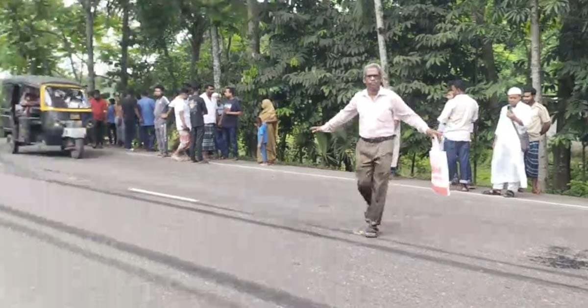 সড়ক দুর্ঘটনায় দাদি-নাতনি নিহত