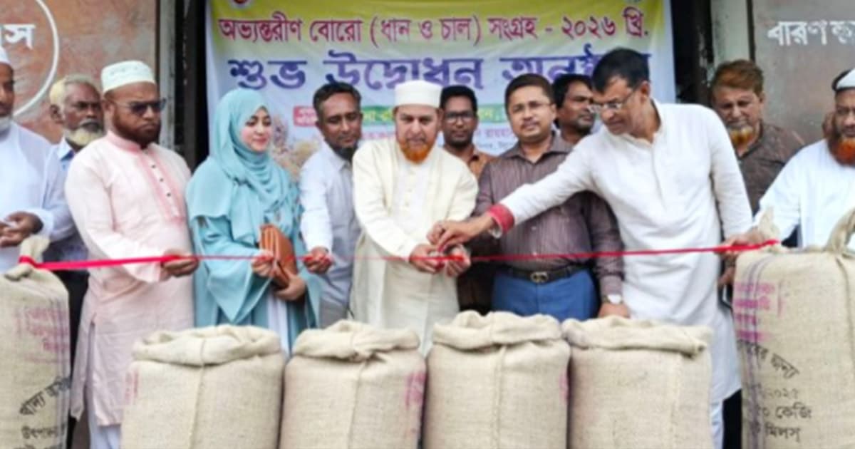 উল্লাপাড়ায় চলতি মৌসুমে ধান-চাল সংগ্রহ শুরু
